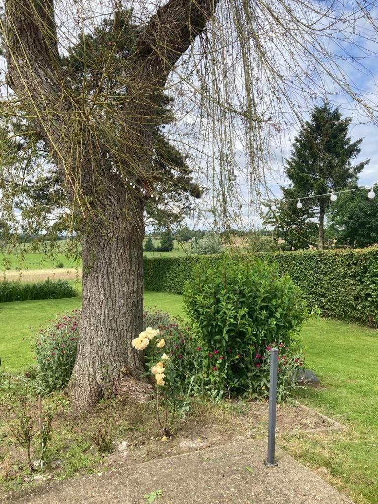 Chambre D Hote Olne Exteriér fotografie
